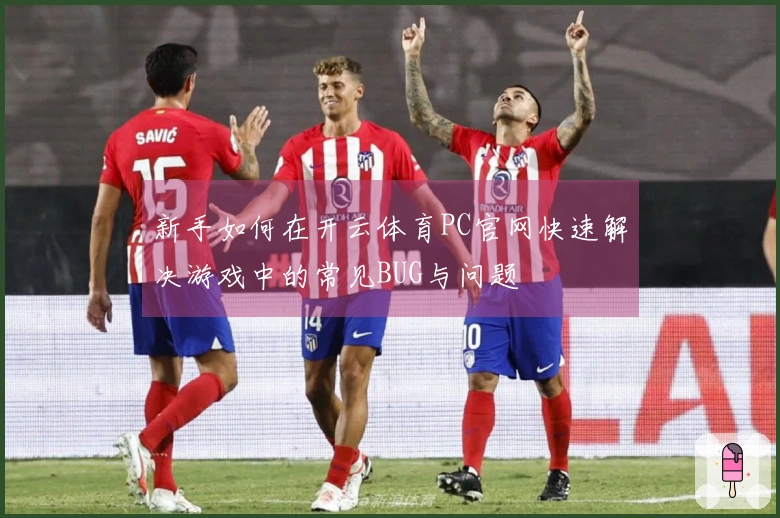 新手如何在开云体育PC官网快速解决游戏中的常见BUG与问题