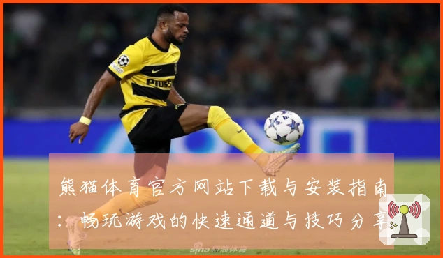 熊猫体育官方网站下载与安装指南：畅玩游戏的快速通道与技巧分享