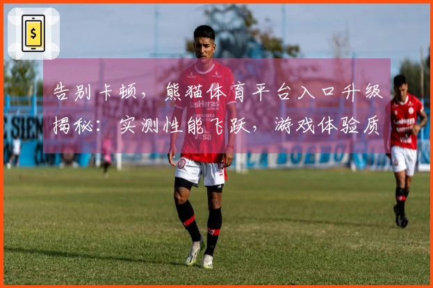 告别卡顿，熊猫体育平台入口升级揭秘：实测性能飞跃，游戏体验质变！